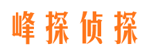 稻城侦探